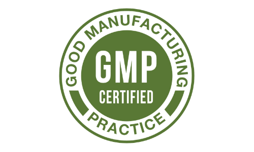 Brain C-13 – GMP Certified Badge for Premium Quality Manufacturing Standards